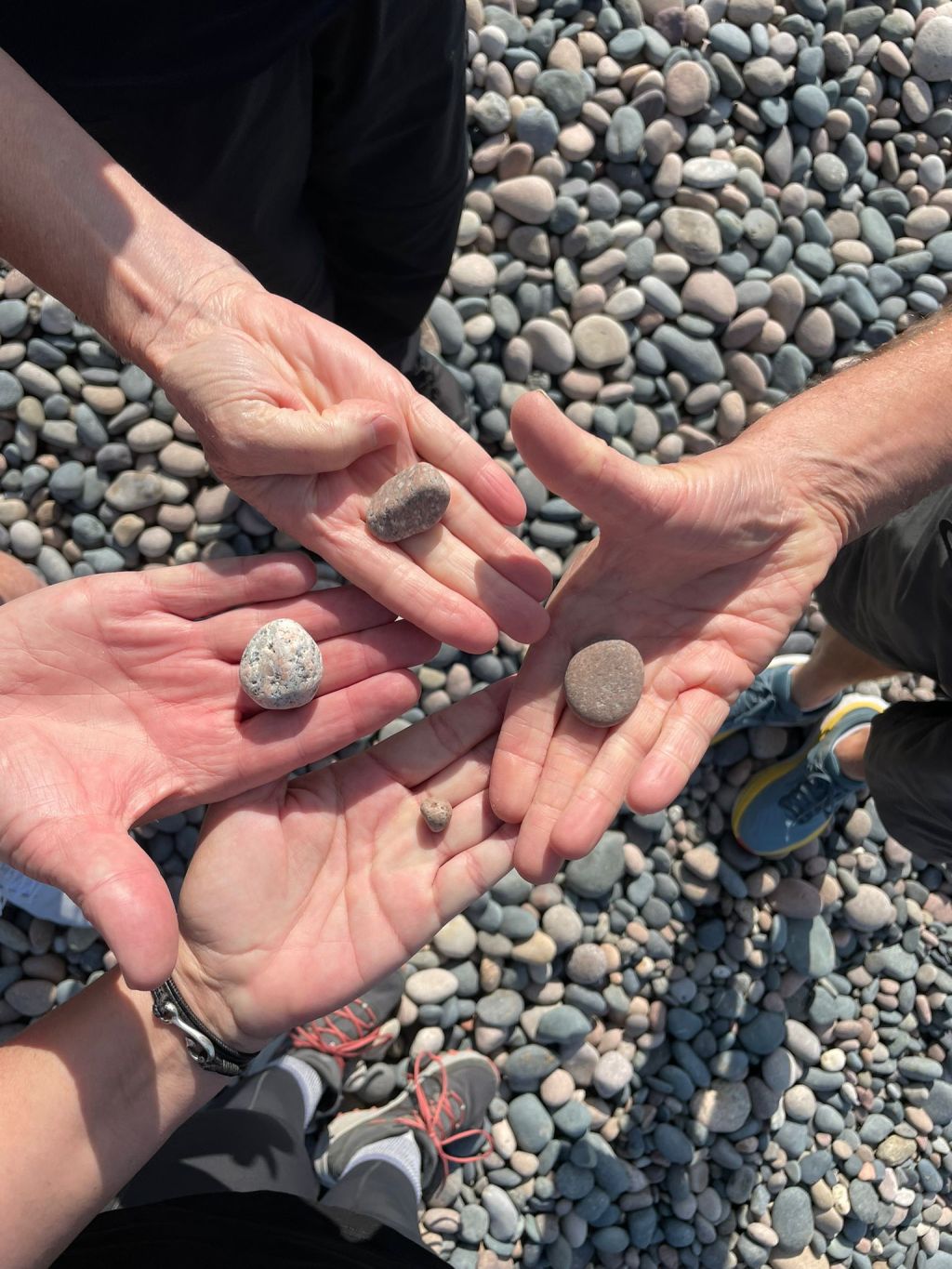 Episode 1: The One at Cross&nbsp;Porpoises